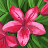 hayleypham625